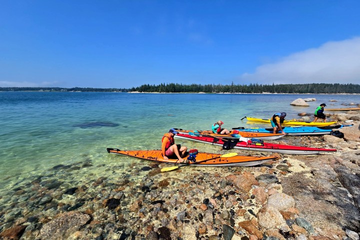 Four kayakers prepare along a rocky shoreline, with clear blue water and distant trees under a clear sky.