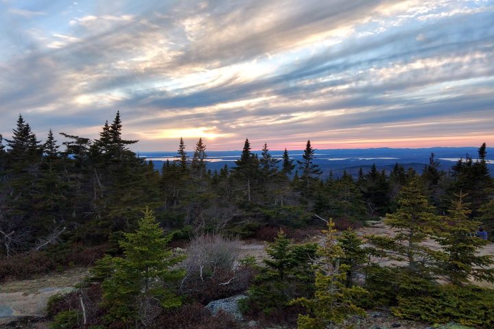 a group of people walking on a grassy hill
