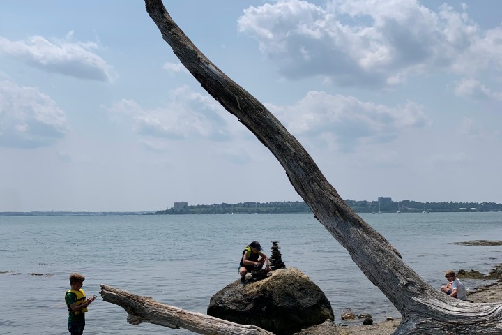 Paddle Camp at Mackworth Island