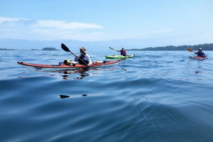 a group of people riding skis on a body of water