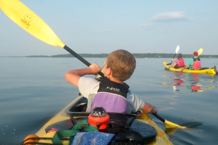 Three people kayaking on calm water with clear blue sky.