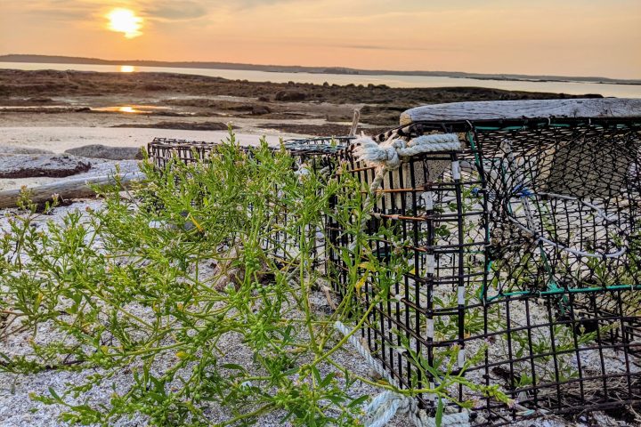a group of people on a beach near a body of water