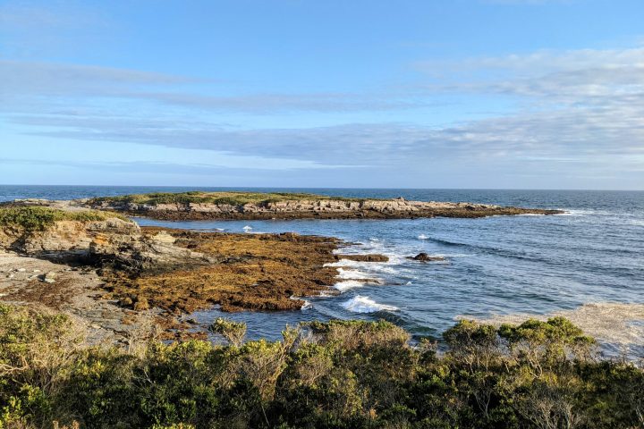 a rocky beach next to a body of water