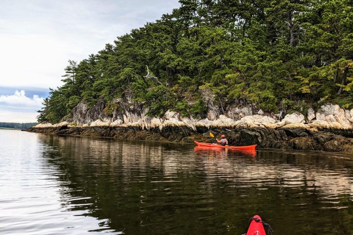 a boat floating along a river next to a body of water