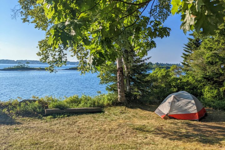 An island campsite with an open area, tent, and trees. Water in the distance.