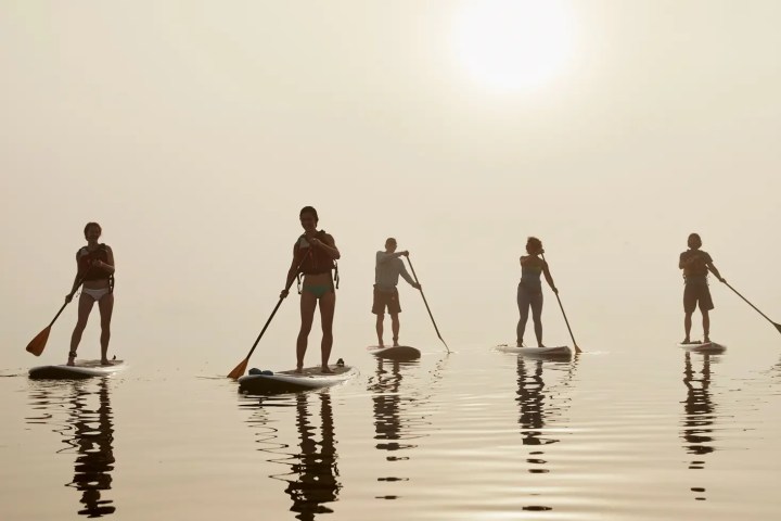 Five people paddleboarding on calm water at sunrise or sunset.