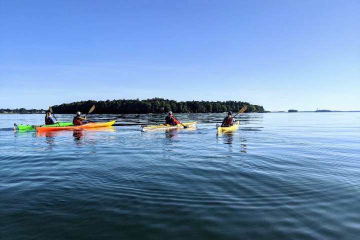 Four people kayaking on calm water with a forested island in the background.