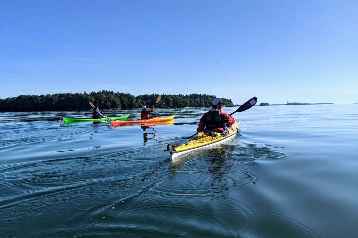 Three people kayaking on calm water with a forested shoreline in the background.