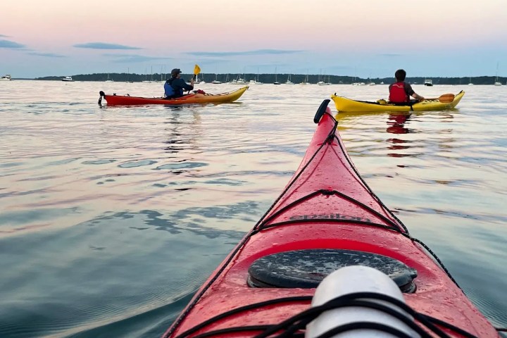 Two kayakers paddling on calm water under a twilight sky with distant trees and boats.
