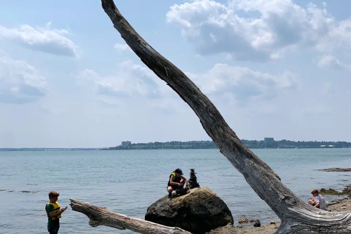 People by a beach with a large driftwood log, rocks in the water, and distant buildings on the horizon.