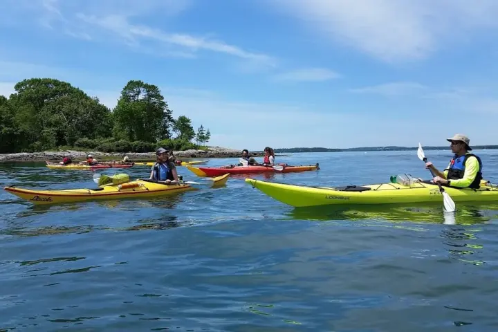 Sea kayakers