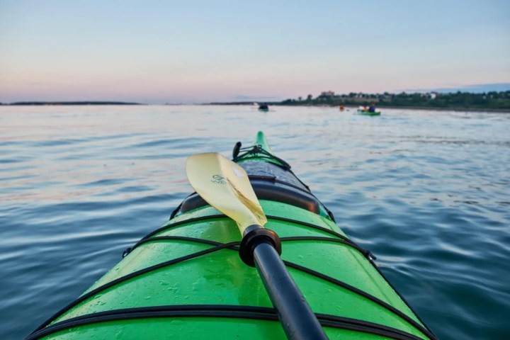 View from a green kayak with a paddle on calm water near shore, during sunset.