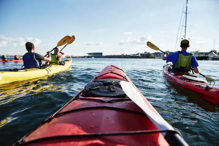 Three people kayaking on a sunny day, view from one of the kayaks looking towards the others.