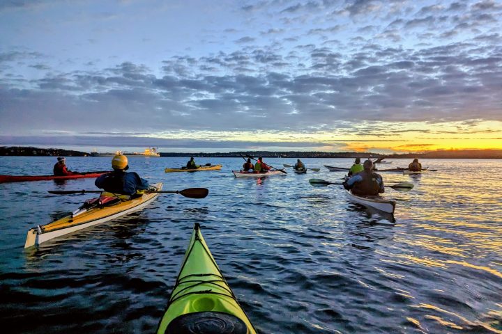 a group of people paddling kayaks in the ocean in winter