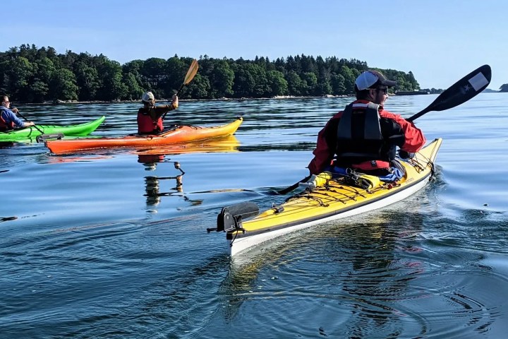 Three kayakers paddle on calm water with forested island and blue sky in background.