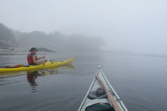 Two kayaks on calm water with misty trees in the background.