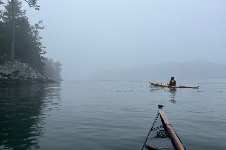 Kayakers in the tidal estuary of the Sasanoa River