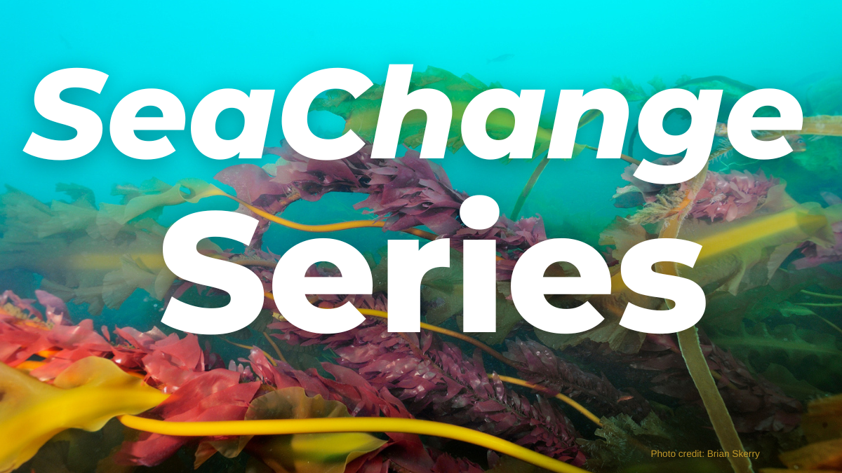 A photo of Gulf of Maine Kelp Forest with event title over it