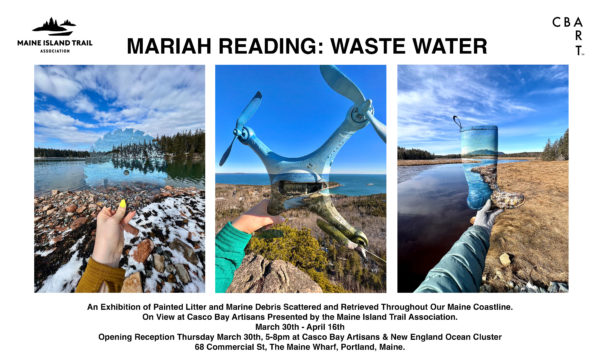 Examples of Mariah Reading's eco-art with information on the gallery opening