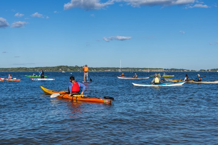 People kayaking and paddleboarding on a calm lake under a blue sky.