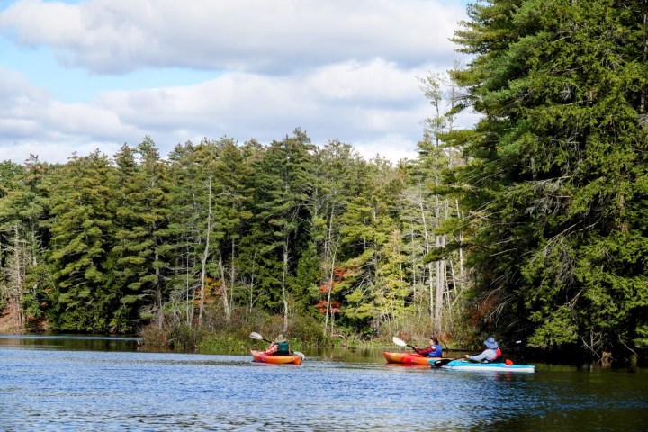 a small boat in a body of water surrounded by trees