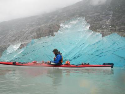 a group of people riding skis on a body of water