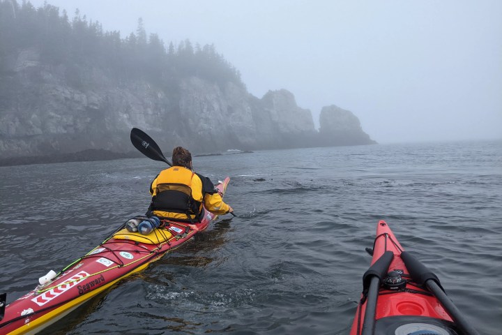 Two kayakers paddling near foggy cliffs and calm sea.