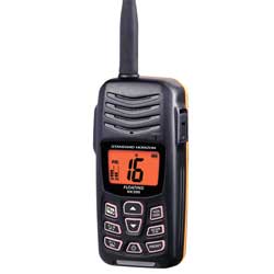 a hand holding a cellphone