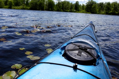 a small boat in a body of water surrounded by lily pads