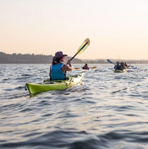 a group of people paddling sea kayaks
