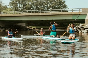 Several people on paddleboards in flat water