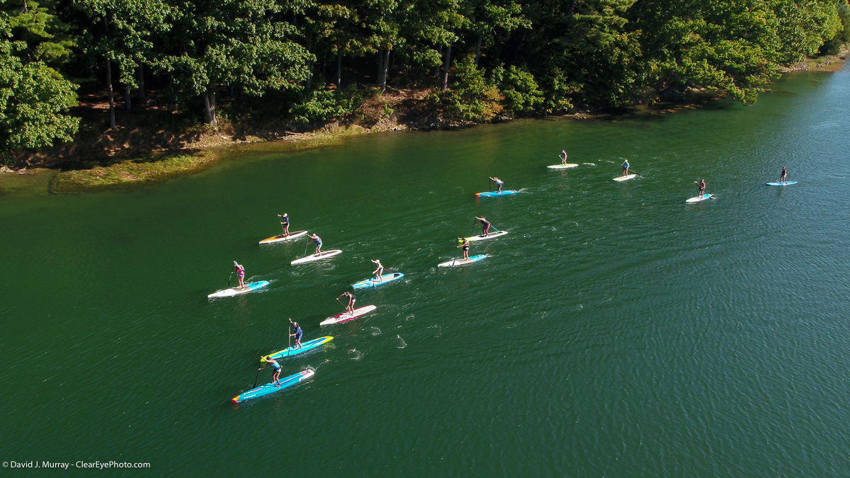 a group of people swimming in a body of water