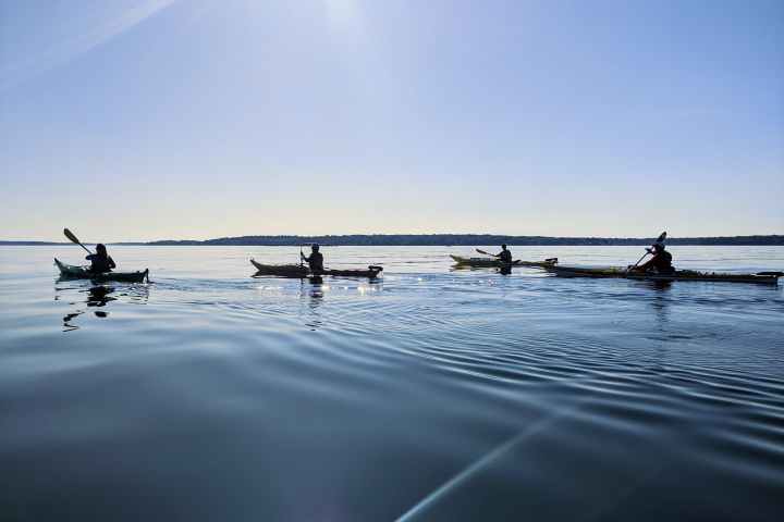 Four kayakers paddling on calm water under a clear sky.