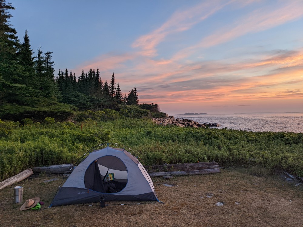 Tent on grassy area by ocean at sunset, pine trees in background.