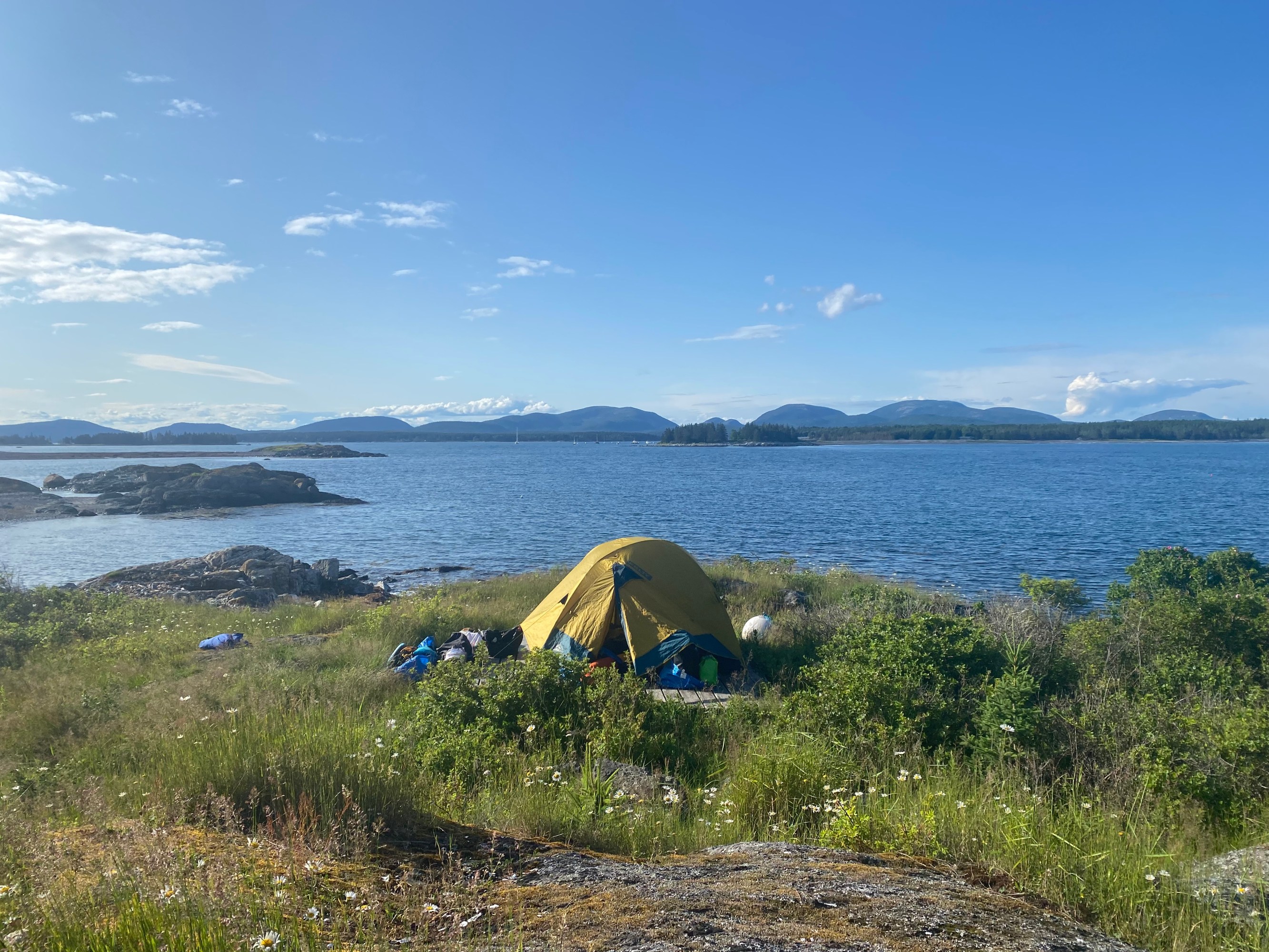 Tent on grassy shore with sea and mountains in the background under clear blue sky.